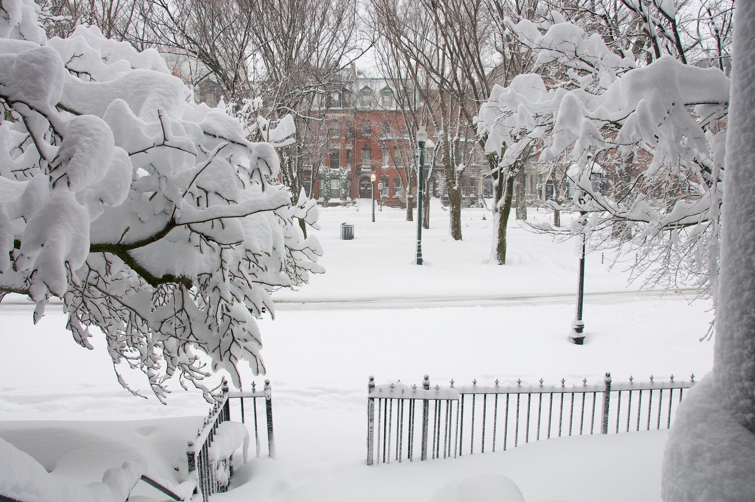 what I saw when I opended my door this morning