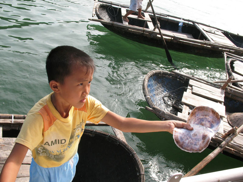 Gliding along Halong Bay...
